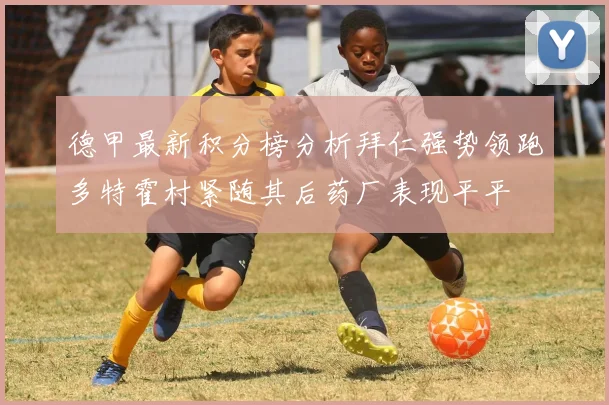 德甲最新积分榜分析拜仁强势领跑多特霍村紧随其后药厂表现平平