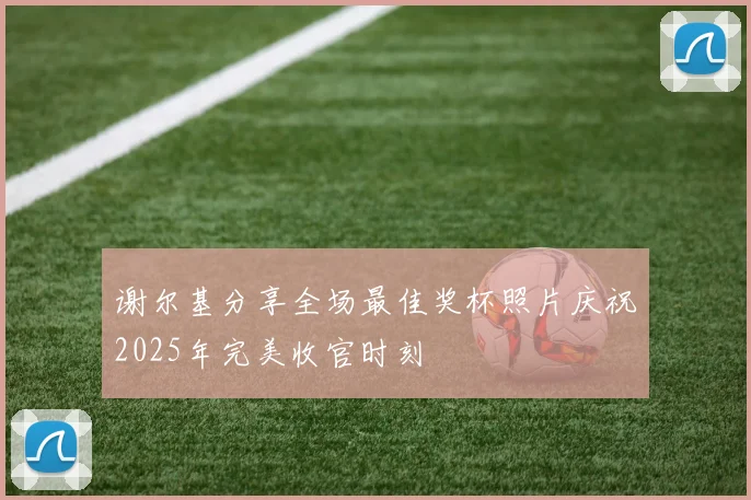 谢尔基分享全场最佳奖杯照片庆祝2025年完美收官时刻