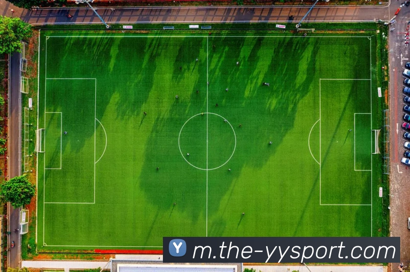 易游体育平台生态图